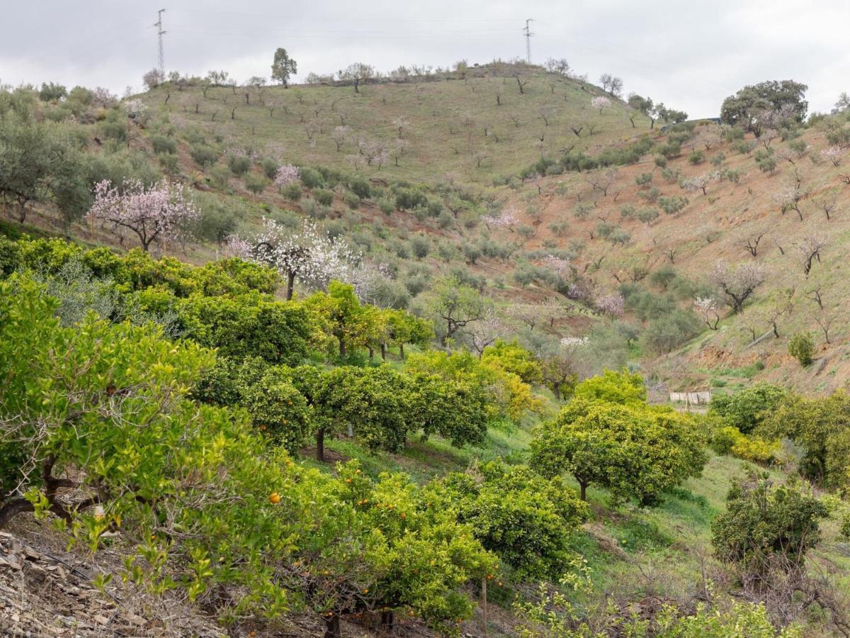 Alojamiento Rural Casa La Era Almogía Екстериор снимка