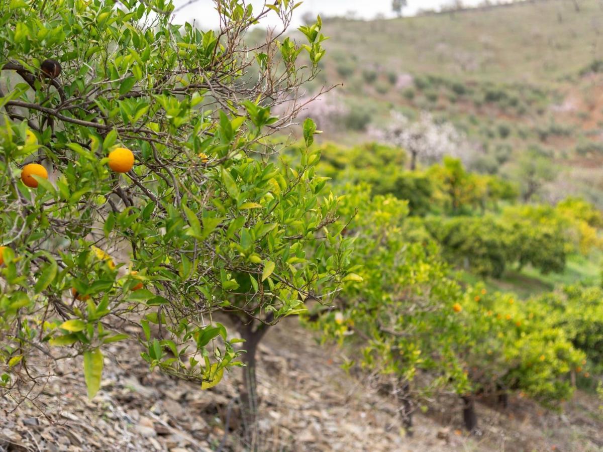 Alojamiento Rural Casa La Era Almogía Екстериор снимка